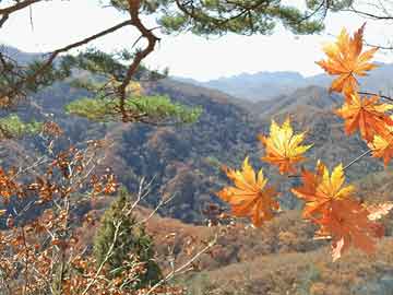 沐華平最新動(dòng)態(tài)更新?