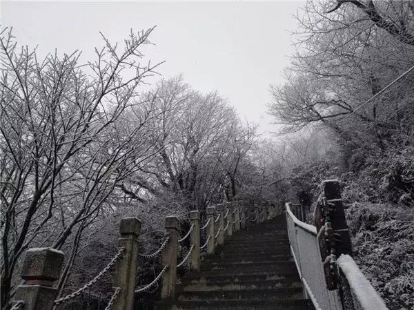 廣東最新信訊,廣東最新信訊