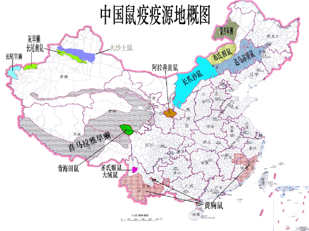 領(lǐng)先科技產(chǎn)品助你洞悉最新疫情分布，科技浪潮引領(lǐng)時(shí)代變革！