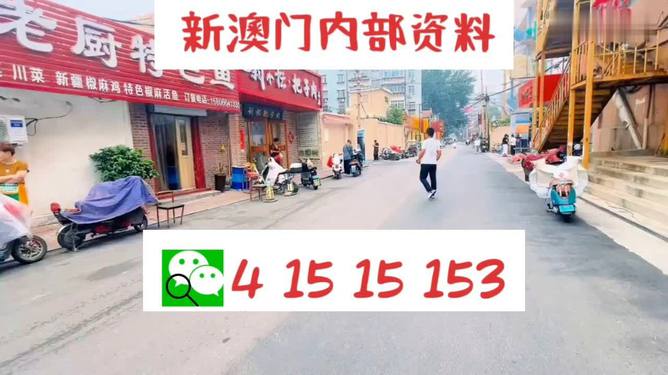 2024新澳天天開好彩大全78期,定量解析解釋法_黑科技版70.318