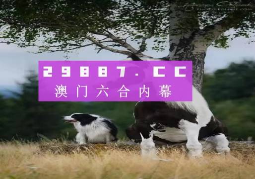 2025今晚澳門跑狗圖,快速解答方案實(shí)踐_環(huán)保版38.289