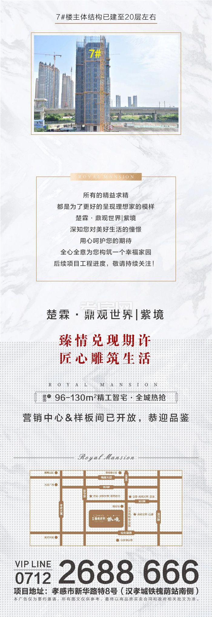 楚霖鼎觀察，世界最新動態(tài)概覽