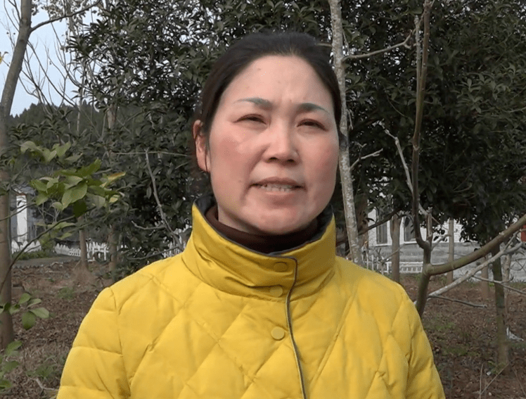 安岳文化鎮(zhèn)，傳承與創(chuàng)新共融的藝術(shù)之旅最新動態(tài)