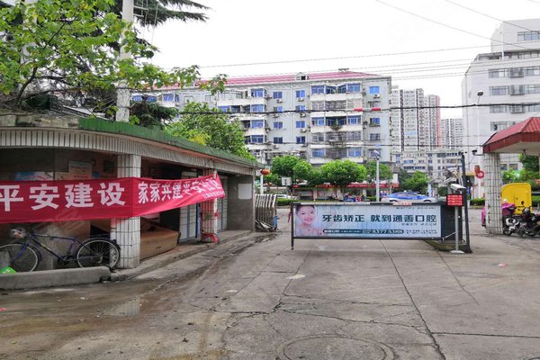 關于以琳 第19頁