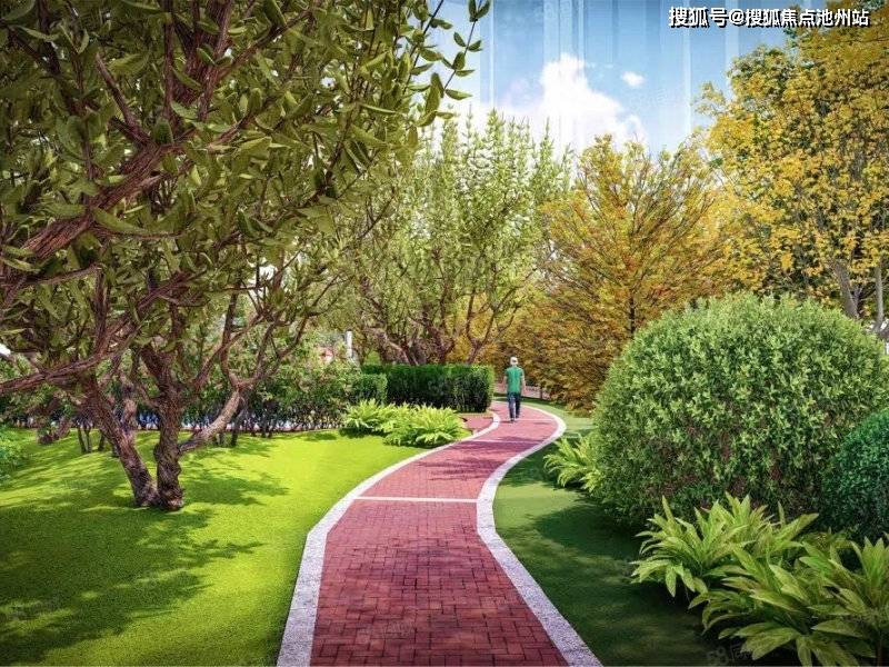 河北栗進路最新動態(tài)，觀點闡述與分析