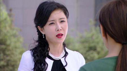 最新女王扇耳光視頻引發(fā)社會現(xiàn)象與輿論反思