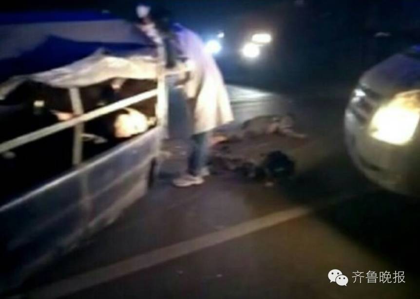 山東棗莊車禍背后的自然美景之旅探索