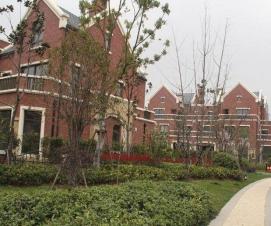 高速云水灣最新報(bào)價(jià)，小巷寶藏的獨(dú)特風(fēng)情探索